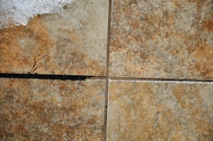 Tile Grout Cleaning Sealing San Diego